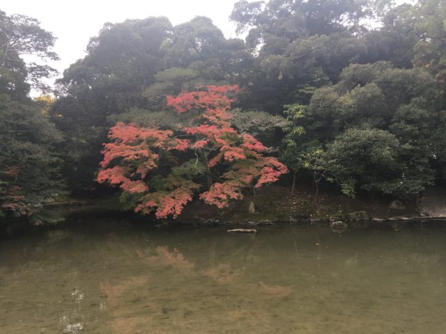 庭園画像